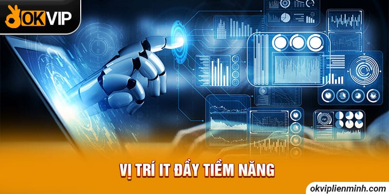 Vị trí IT đầy tiềm năng
