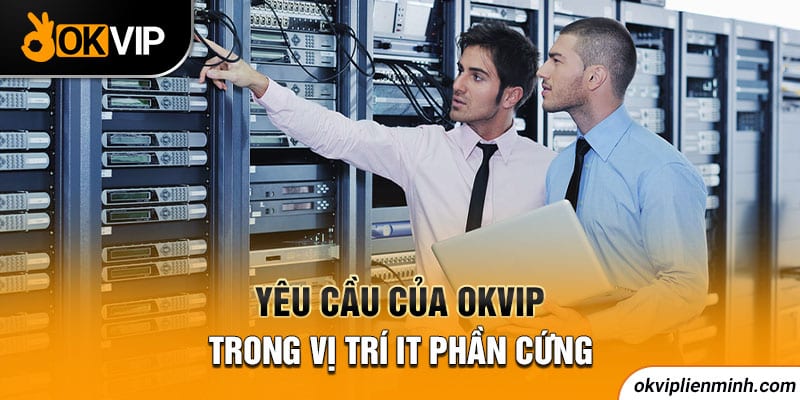 Yêu cầu của OKVIP trong vị trí IT phần cứng