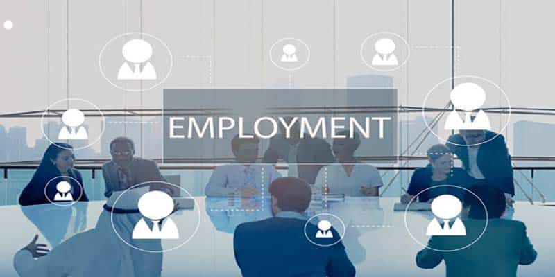 OKVIP Tuyển Dụng Bộ Phận Kế Hoạch Năm 2025 - Bước Bức Phá Mới